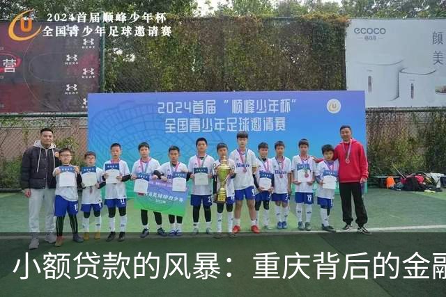 小额贷款的风暴：重庆背后的金融故事